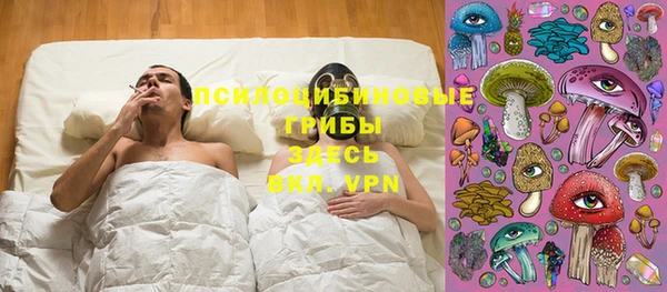 тгк Коряжма