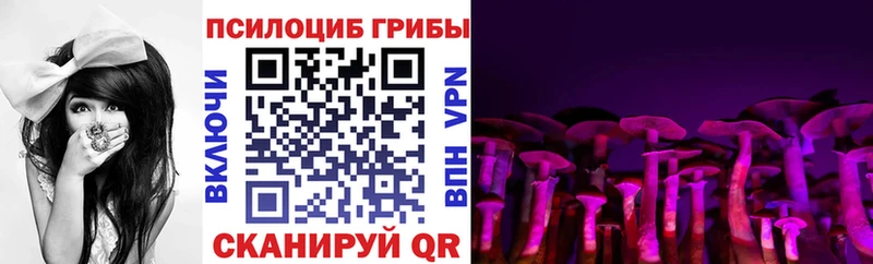 Купить закладки Глазов Галлюциногенные грибы Psilocybe