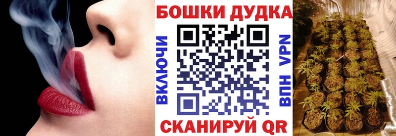 Конопля OG Kush  Купить где  Глазов 